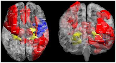 Altered Structural and Functional MRI Connectivity in Type 2 Diabetes Mellitus Related Cognitive Impairment: A Review